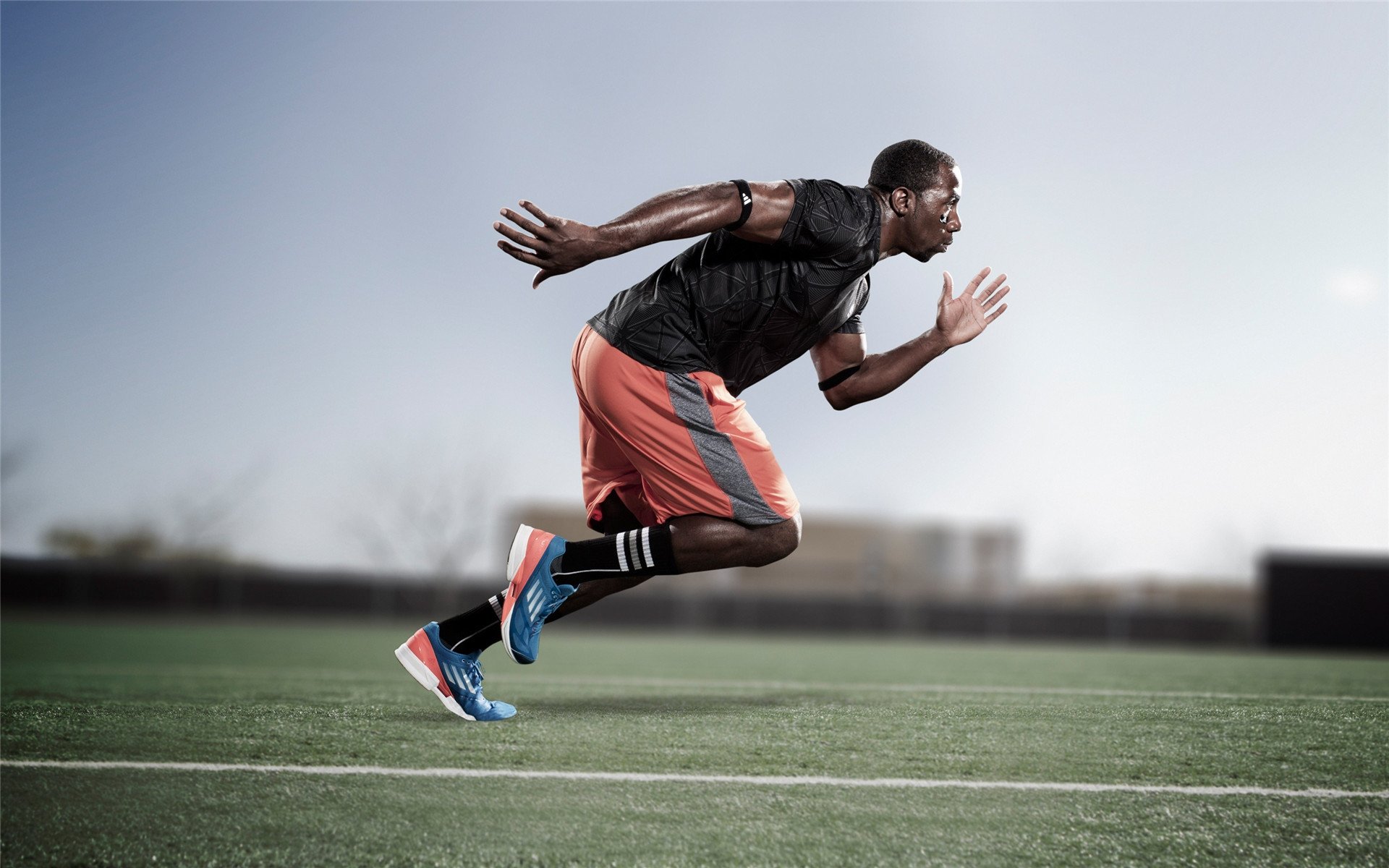 F1赛事商业价值持续增长，f1赛场